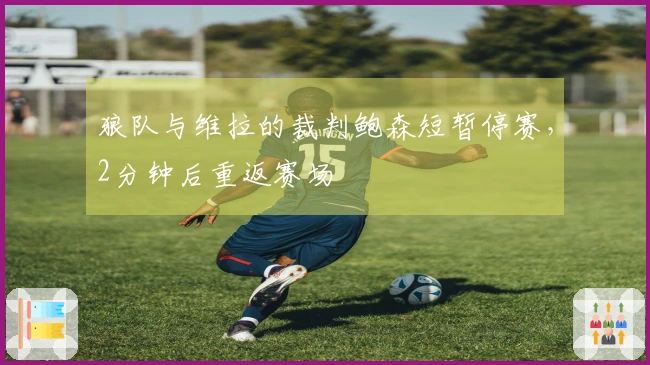 狼队与维拉的裁判鲍森短暂停赛，2分钟后重返赛场