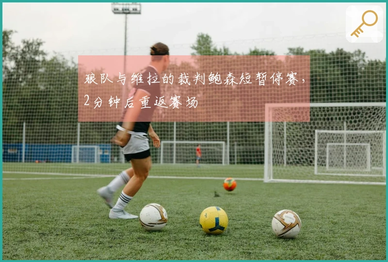 狼队与维拉的裁判鲍森短暂停赛，2分钟后重返赛场
