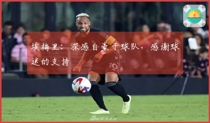 埃梅里：深感自豪于球队，感谢球迷的支持